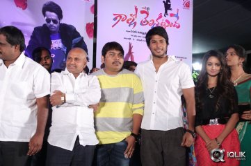 Gallo Telinattunde Movie Audio Function